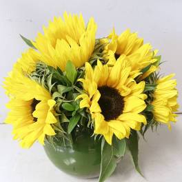 Bouquet of yellow sunflowers in a green vase