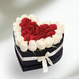 Heart-shaped box of red and white roses tied with a ribbon