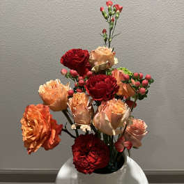 Peach and Red Garden Roses