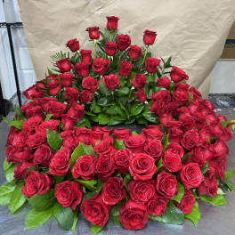 Large arrangement of red roses with green leaves