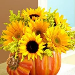 Sunflower arrangement in an orange pumpkin-shaped vase