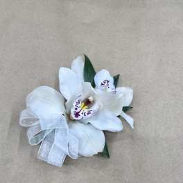 White orchid corsage with a sheer ribbon bow