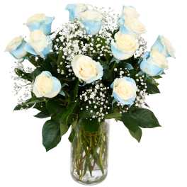 Blue-tinted white roses in a glass vase with baby's breath