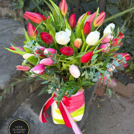 Tall arrangement of red, pink, white, and peach tulips in a striped vase with ribbons