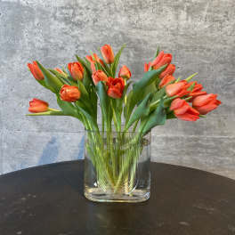 Orange tulips arranged in a clear glass vase