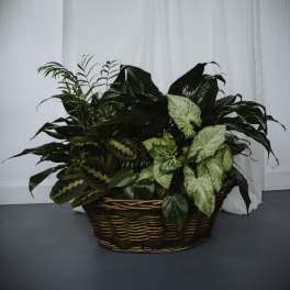 Basket Garden 17in