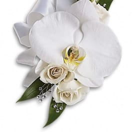 White orchid corsage with cream roses and silver accents