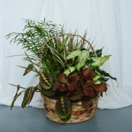 Basket Garden 12in