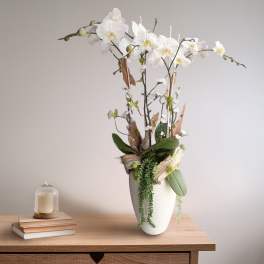 White orchid arrangement in a tall white vase with trailing greenery