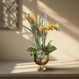 Yellow orchids in a gold pedestal vase with succulents