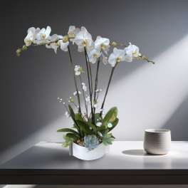 White orchid arrangement in a white container beside a small ribbed cup