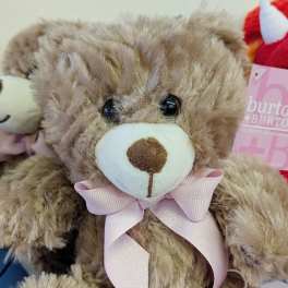 Brown teddy bear with a pink ribbon bow