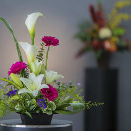 White calla lilies and magenta gerbera daisies in a low black container