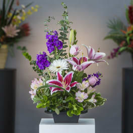 Mixed bouquet with pink lilies, white gerbera daisies, and purple blooms in a black container
