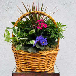 Mixed potted plants and purple flowers in a wicker basket