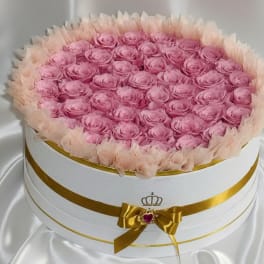Eternal Blush Pink Grand Signature Round – 50 Preserved Roses Luxury Box