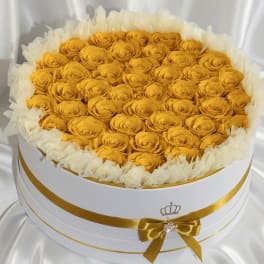 Eternal Golden Yellow Grand Signature Round – 50 Preserved Roses Luxury Box