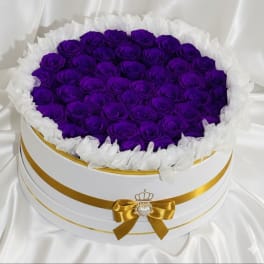 Eternal Royal Purple Grand Signature Round – 50 Preserved Roses Luxury Box
