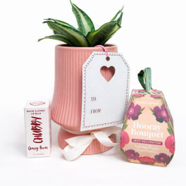 Potted snake plant with a gift tag, lip balm, and seed packet