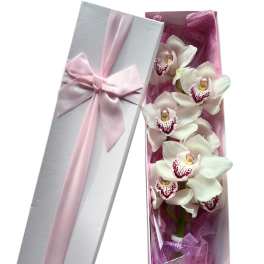 White orchid stems in a pink gift box with a satin ribbon