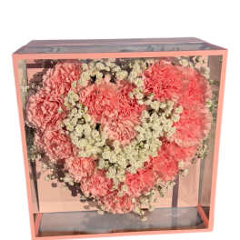Pink carnation heart arrangement in a clear box with baby's breath