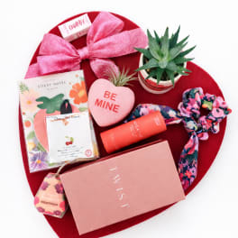 Valentine gift set with a potted succulent, pink heart, and assorted stationery