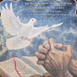 Holy Spirit Luke 3:22 Quilted Throw