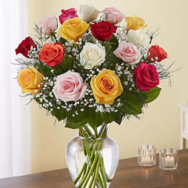 Rose Elegance Long Stem Assorted Roses