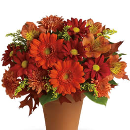 Orange and red daisy bouquet in a brown pot
