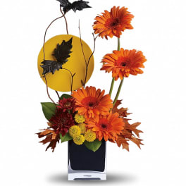 Orange gerbera daisies in a black vase with autumn leaves and black branches