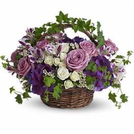 Basket arrangement of purple and white roses with ivy