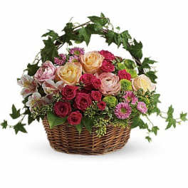 Mixed flower basket with roses and ivy in a wicker basket