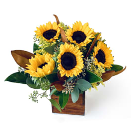 Sunflower arrangement in a wooden box with mixed greenery