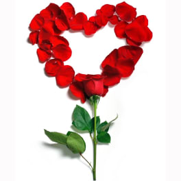 Red rose petals arranged in a heart shape above a single rose stem