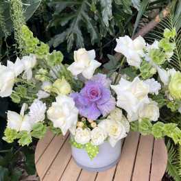 White roses and green snapdragons in a white vase with a purple cabbage center