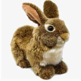Plush brown rabbit with white chest on a white background