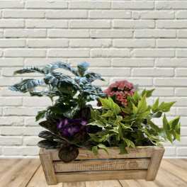 Mixed potted plants and small purple and pink flowers in a wooden planter box