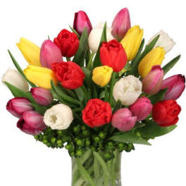 Mixed tulips in a glass vase