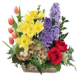 Basket arrangement with yellow daffodils, purple hyacinths, red roses, and tulips