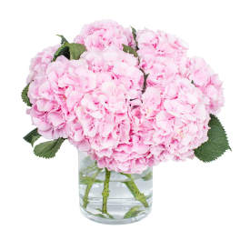 Light Pink Hydrangea Bouquet