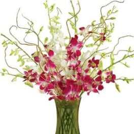 Pink and white orchid arrangement in a green glass vase