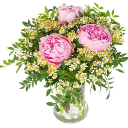 Pink peonies and small white daisies in a clear glass vase