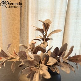 Muted brown faux foliage in a round black vase on a dark surface