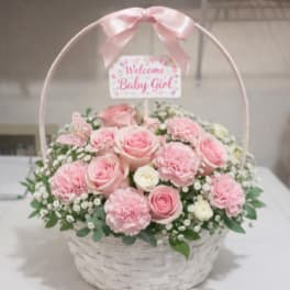 Little Princess Welcome Basket