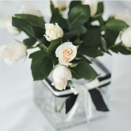 White roses in a clear square vase with a black-and-white ribbon