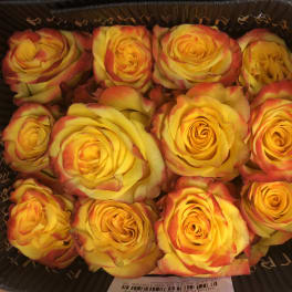 Box of yellow roses with red-tipped petals