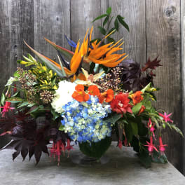 Tropical flower arrangement with orange bird-of-paradise and blue hydrangeas in a vase