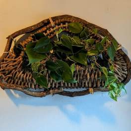 Hanging Wooden Pothos Decor