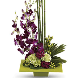 Zen Artistry by Teleflora