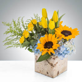 Yellow tulips, sunflowers, roses, and blue hydrangeas in a birch box